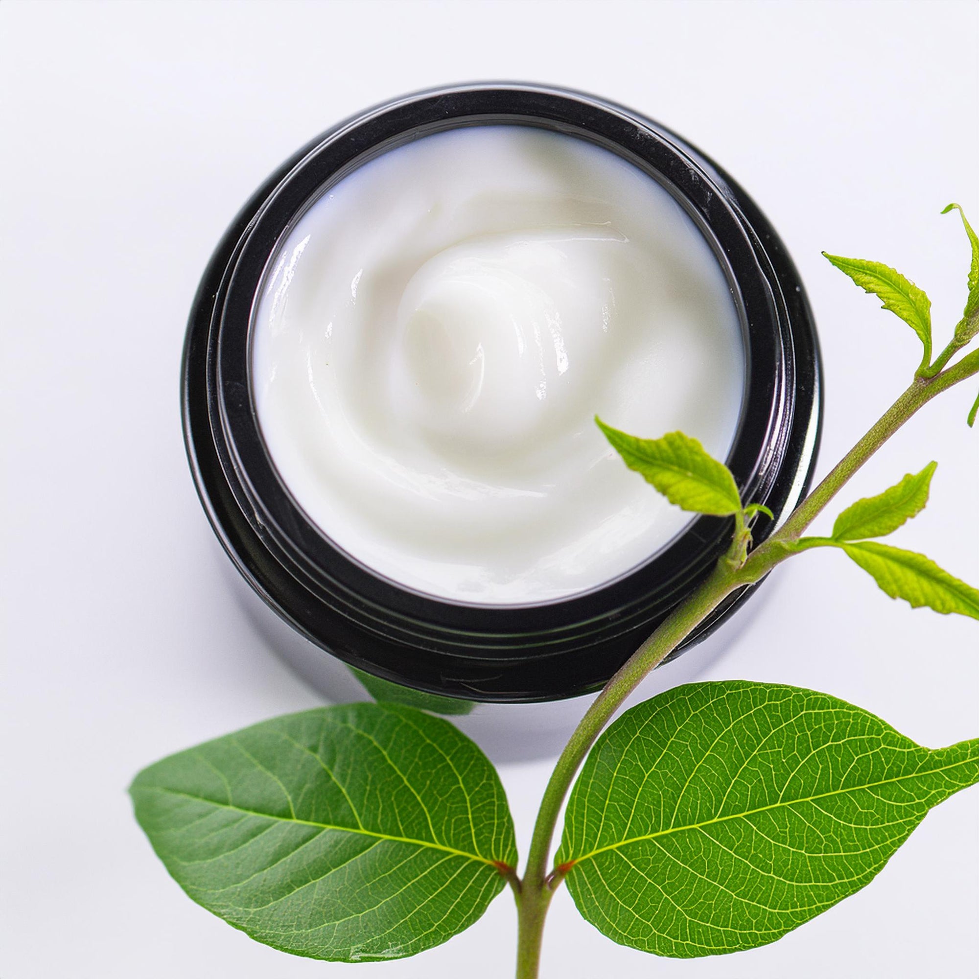 Transdermal Plant Based Stem Cell Therapy