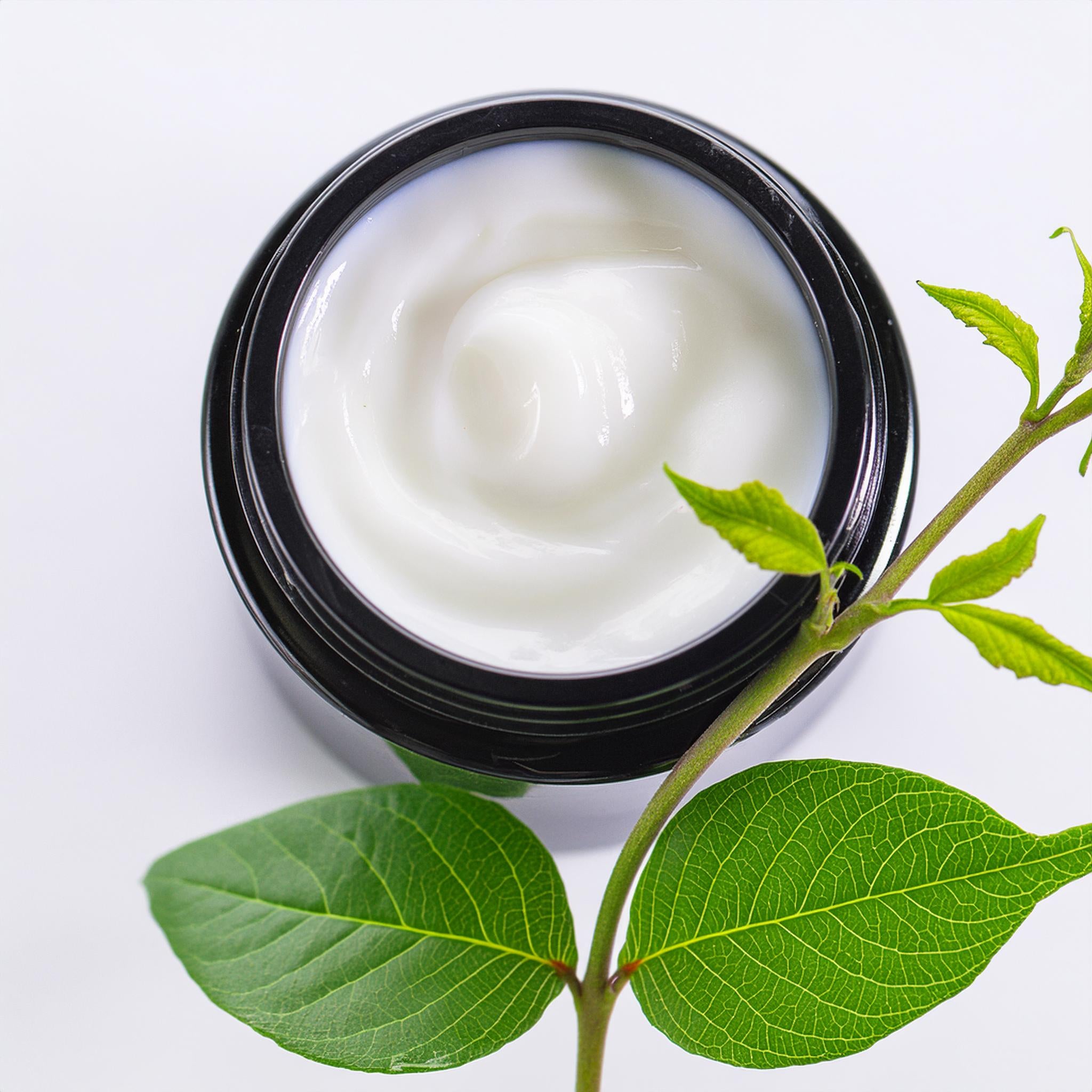 Transdermal Plant Based Stem Cell Therapy